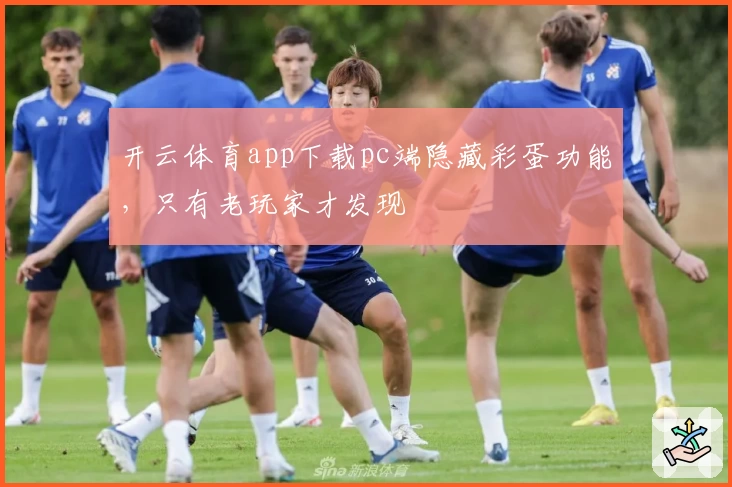 开云体育app下载pc端隐藏彩蛋功能,只有老玩家才发现